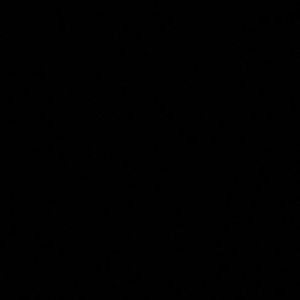 Meet your Posher, Bersi